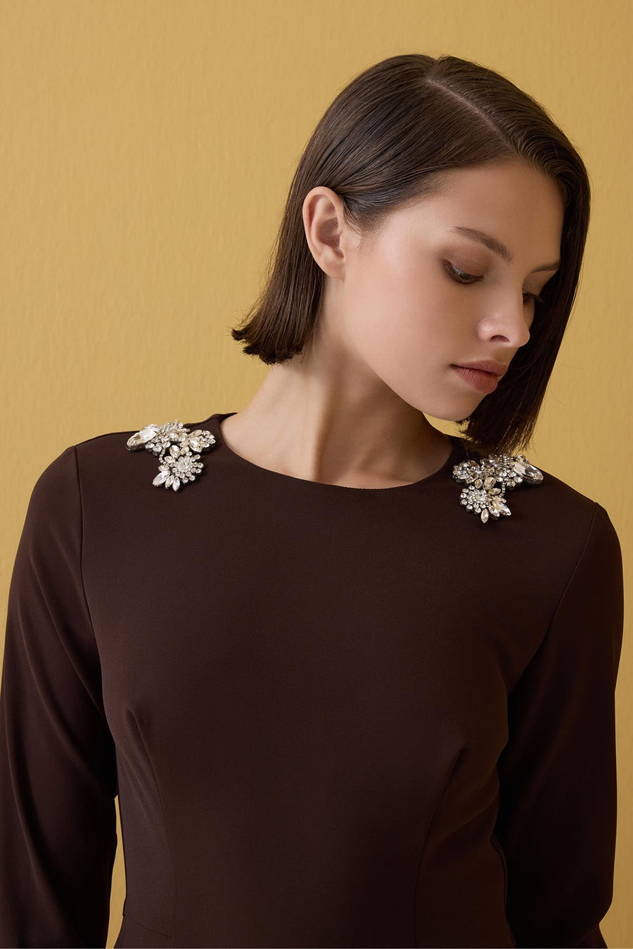 ACI KAHVE TAŞ İŞLEMELİ UZUN KOLLU MİDİ BOY ELBİSE